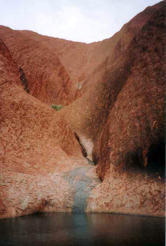Uluru Waterhole