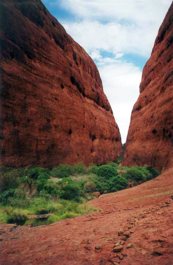 Kata Tjuta close-up