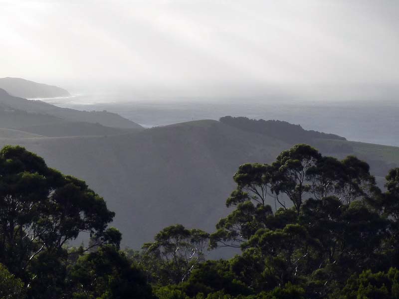 The coast from Apollo Bay 2012