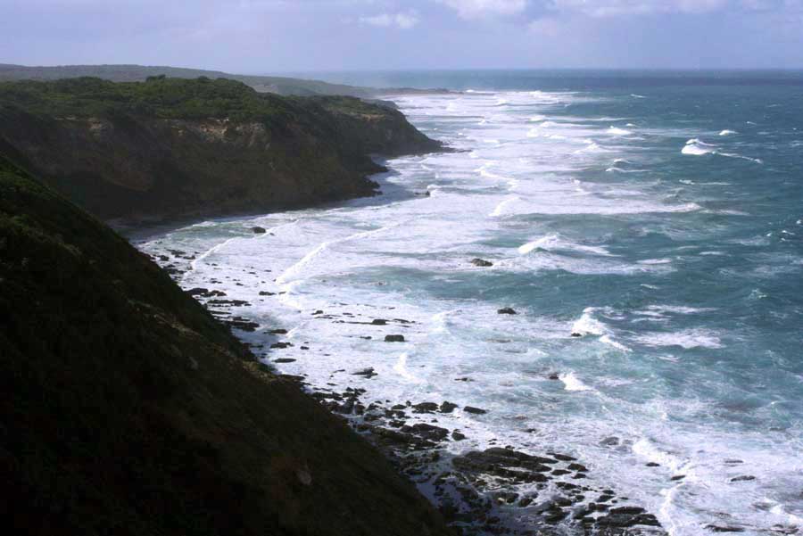 The Coastline from the lighthouse