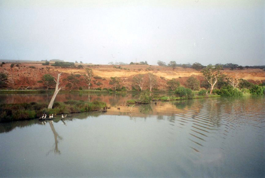 The Murray River
