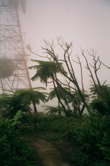 Mt. Scenery, Saba