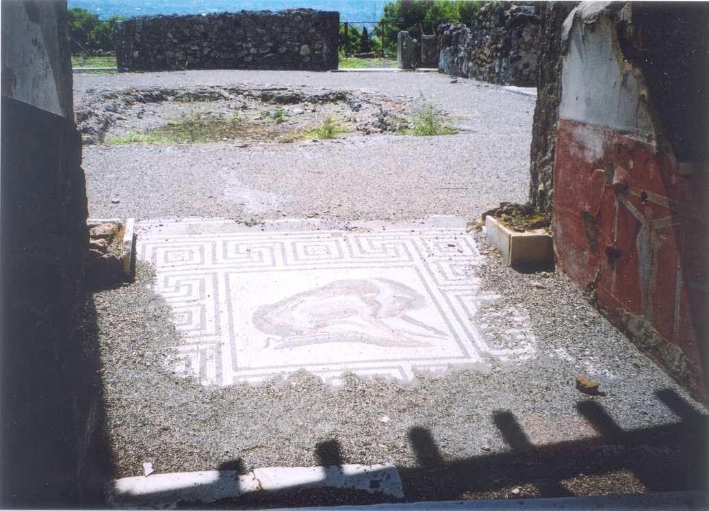 Mosaic of a Boar