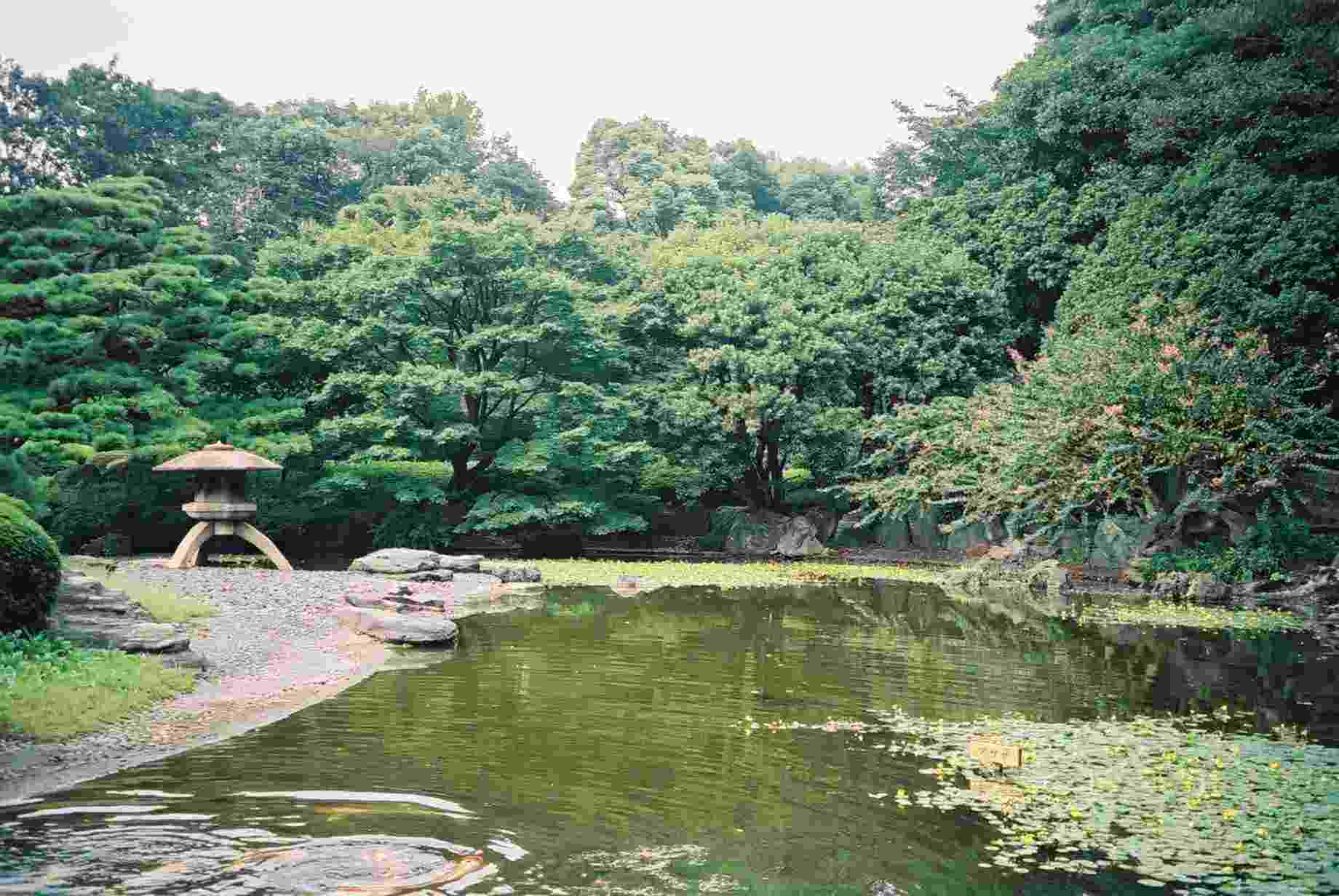 Ninomaru garden
