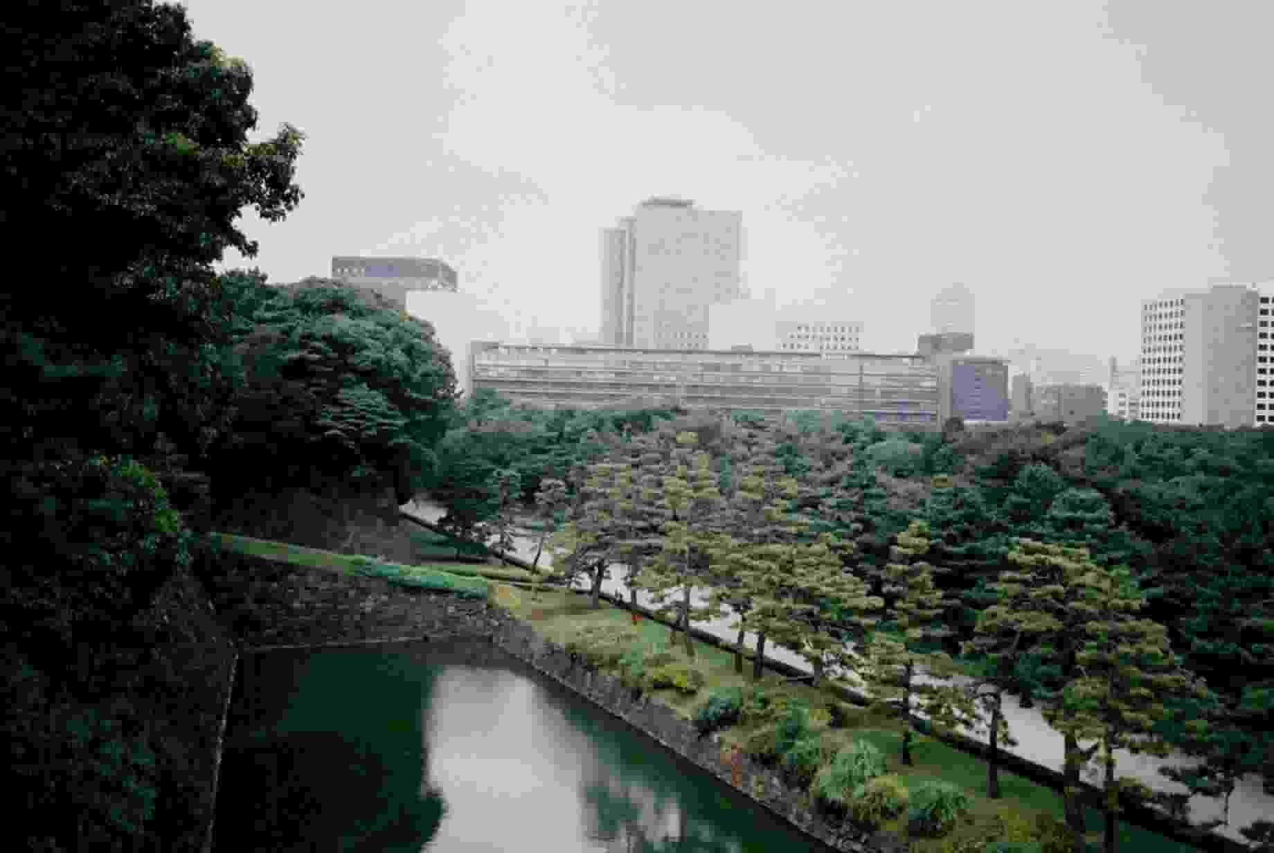 Looking over the East Garden