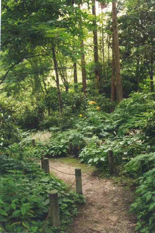 Scenes of the garden