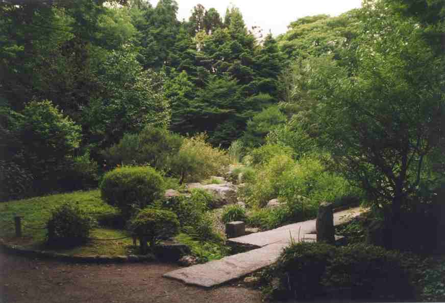 Scenes of the garden