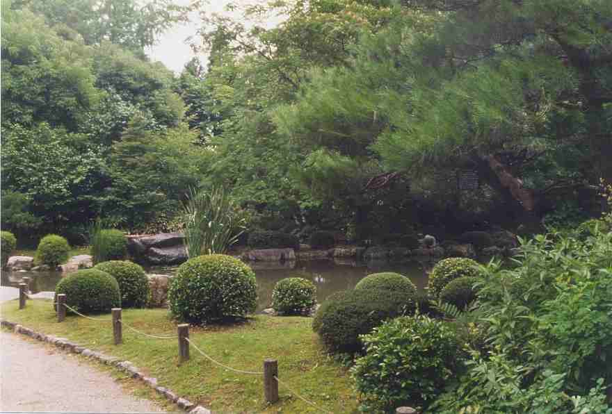 Scenes of the garden