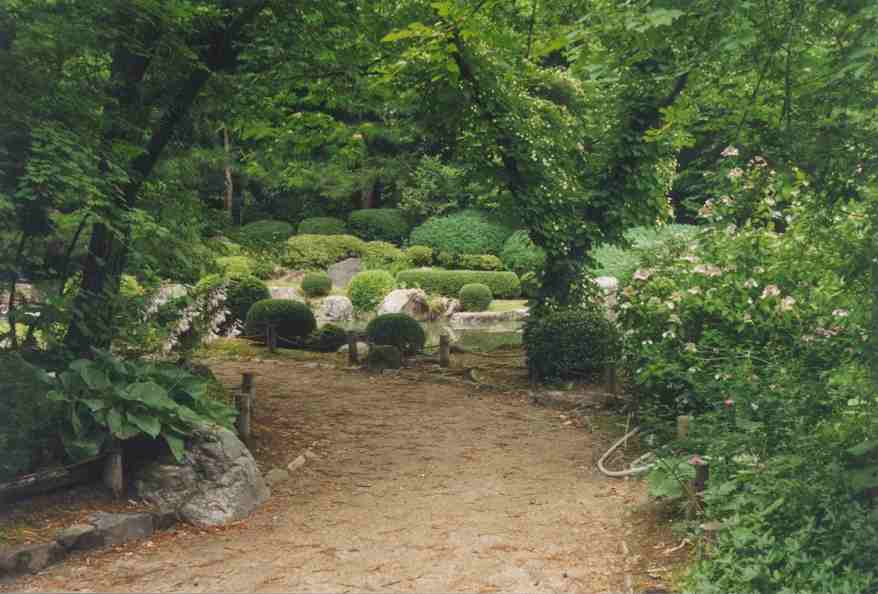 Scenes of the garden