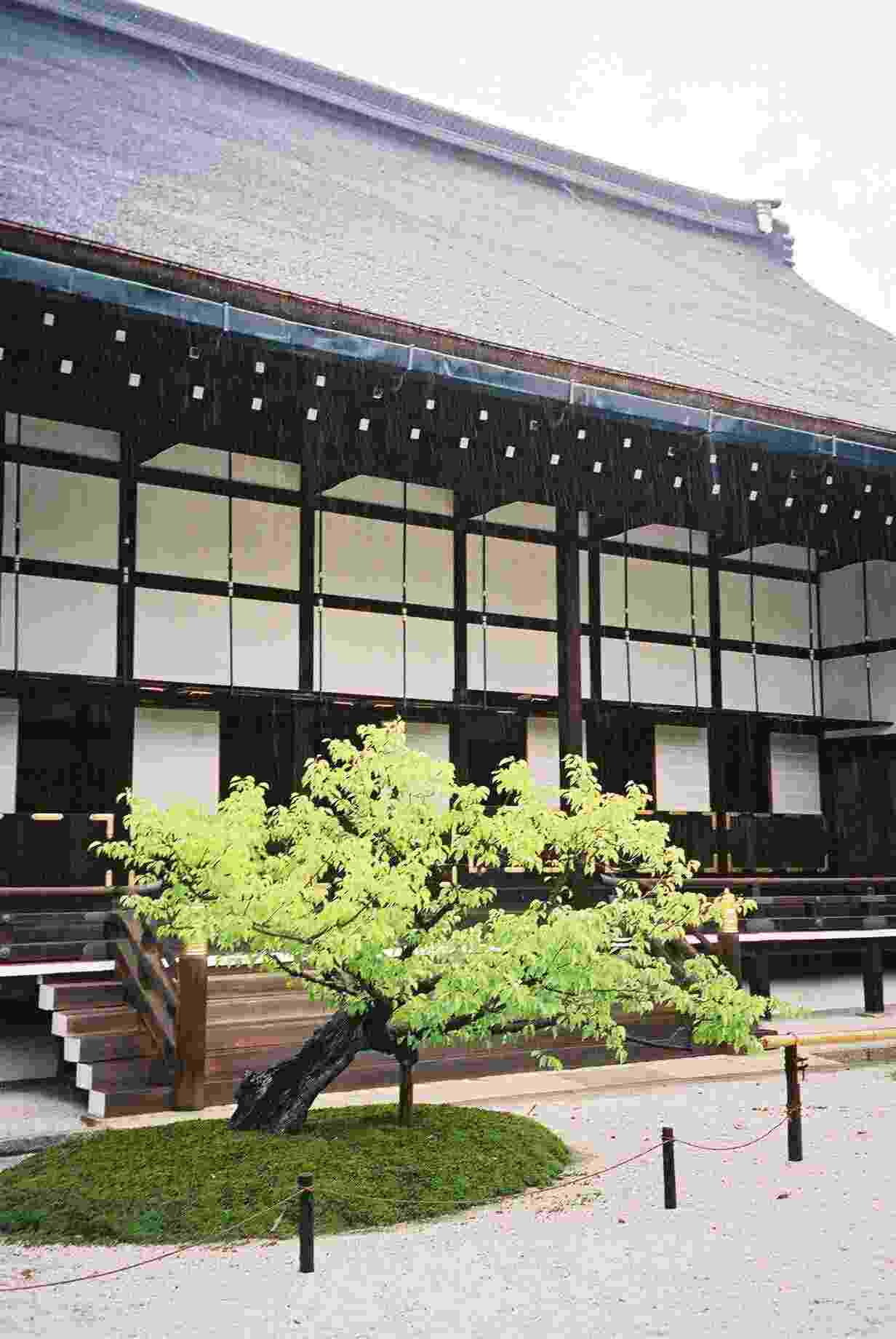 Imperial Palace Gardens