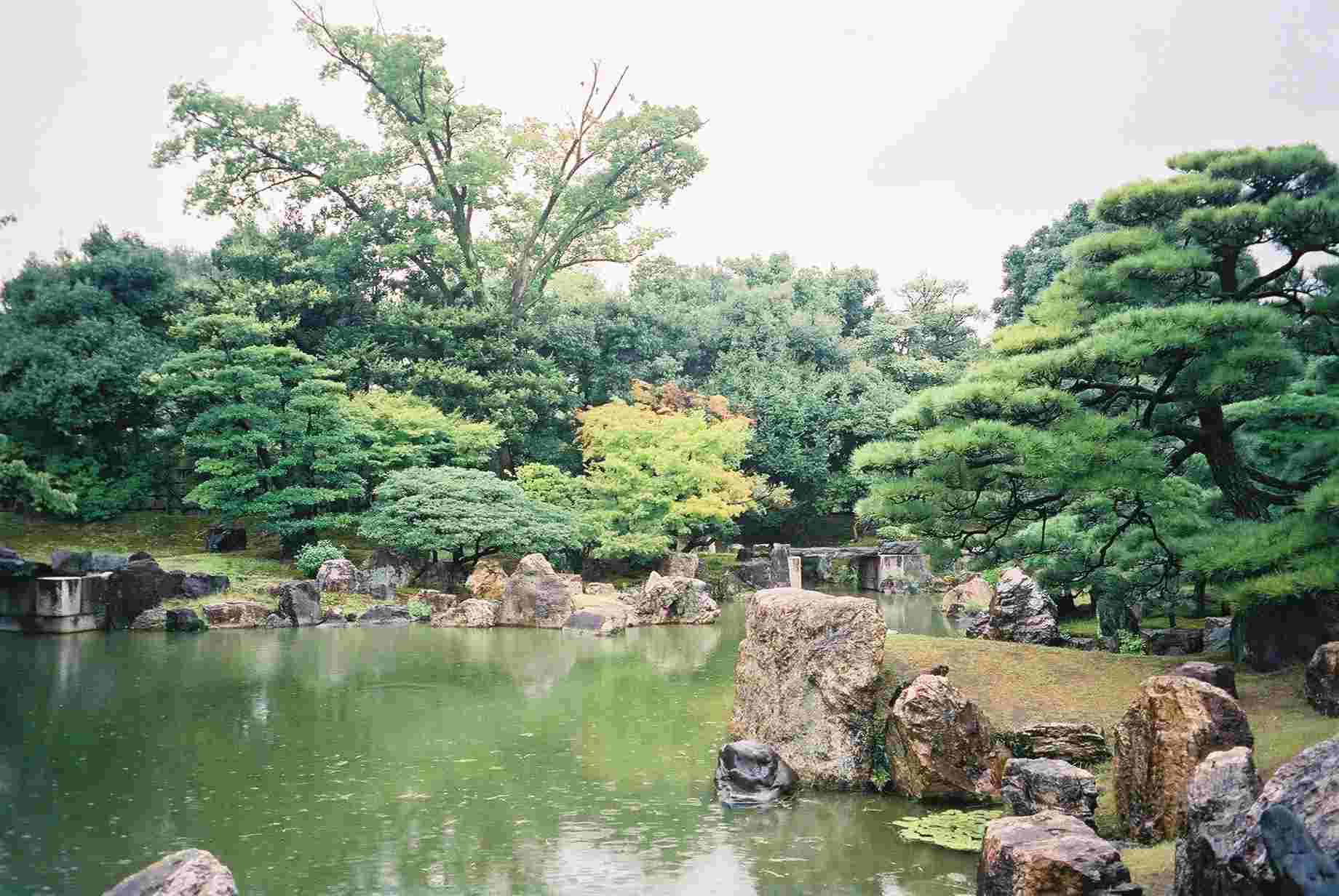 The garden in the rain