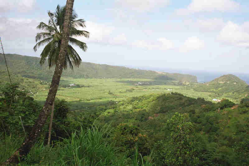 Looking down on the Banana Plantation, April 2000