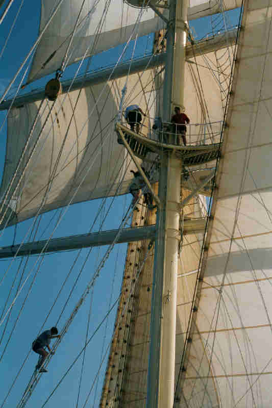 Climbing the mast