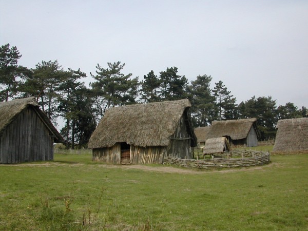 Iceni huts