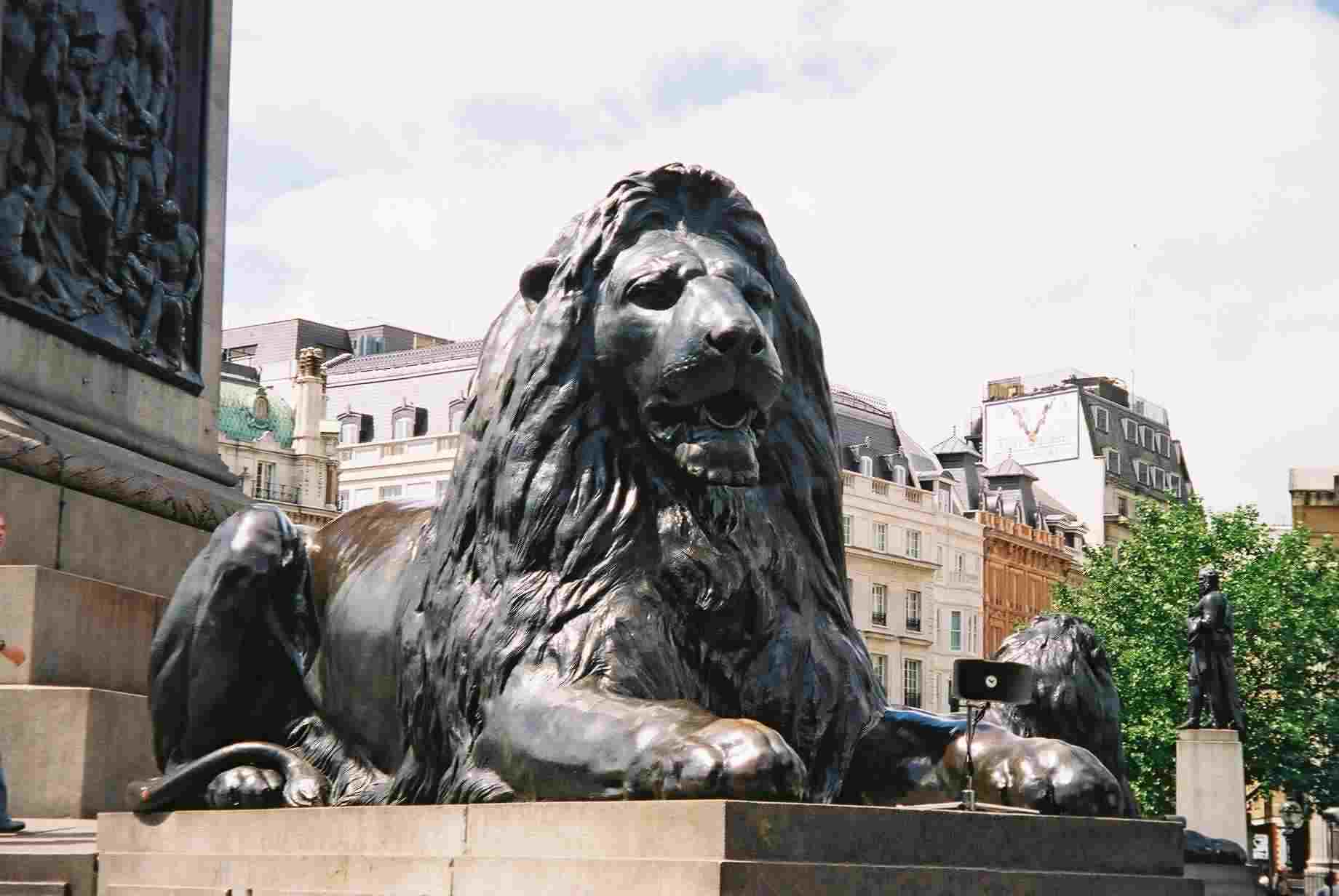 Trafalgar Square Lion