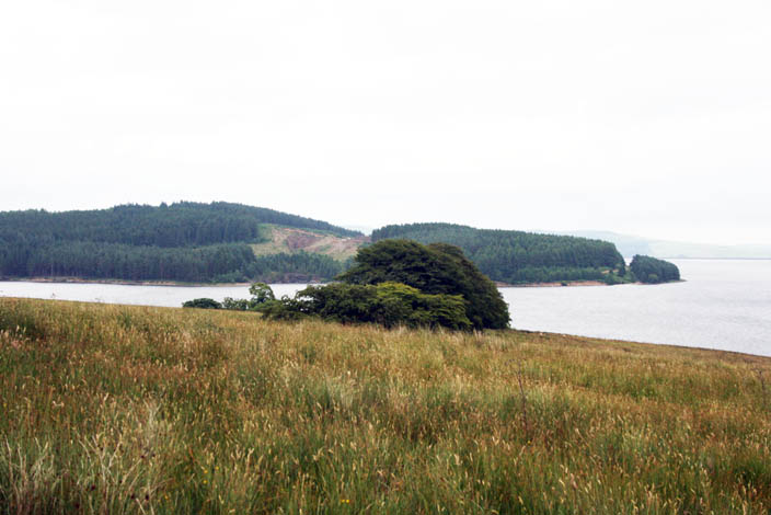 Kielder Water