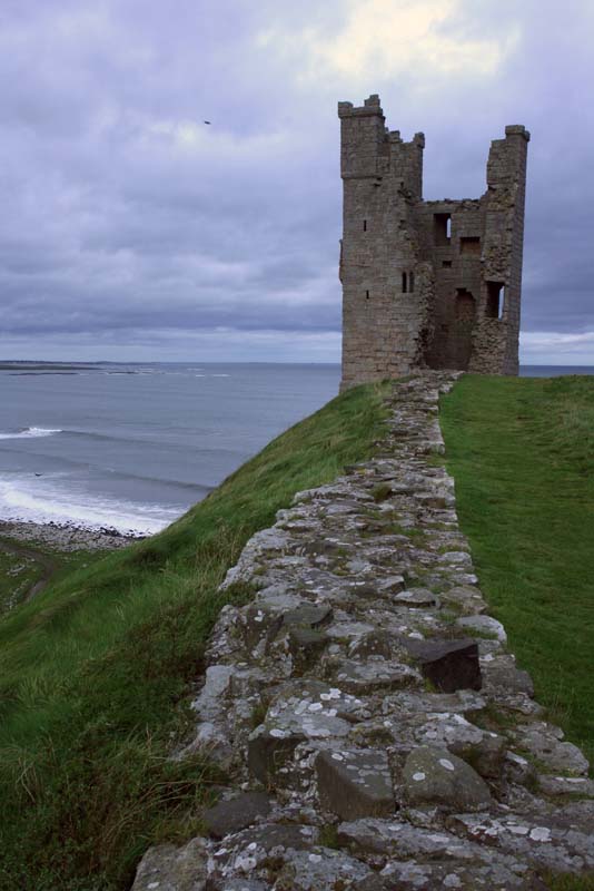 Curtain wall and Lilburn Tower