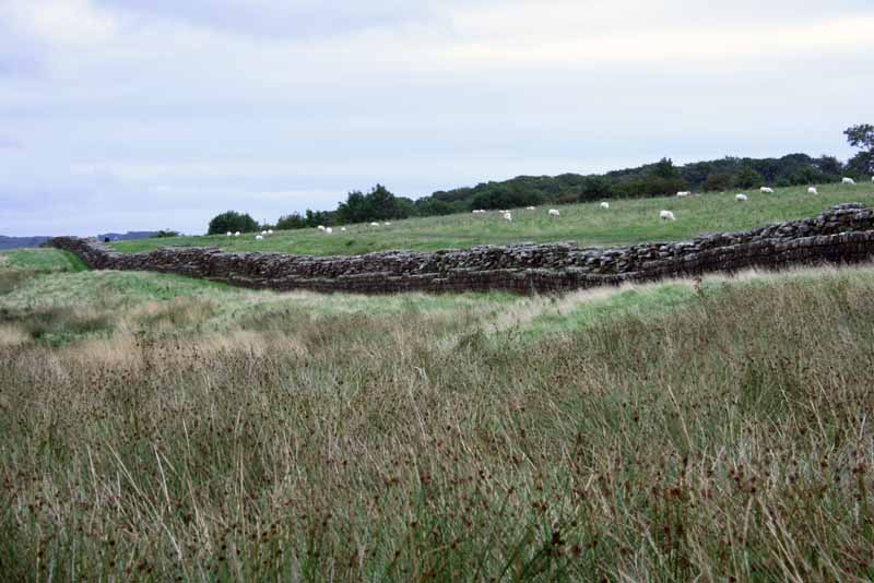 Hadrians wall going east from Birdoswald