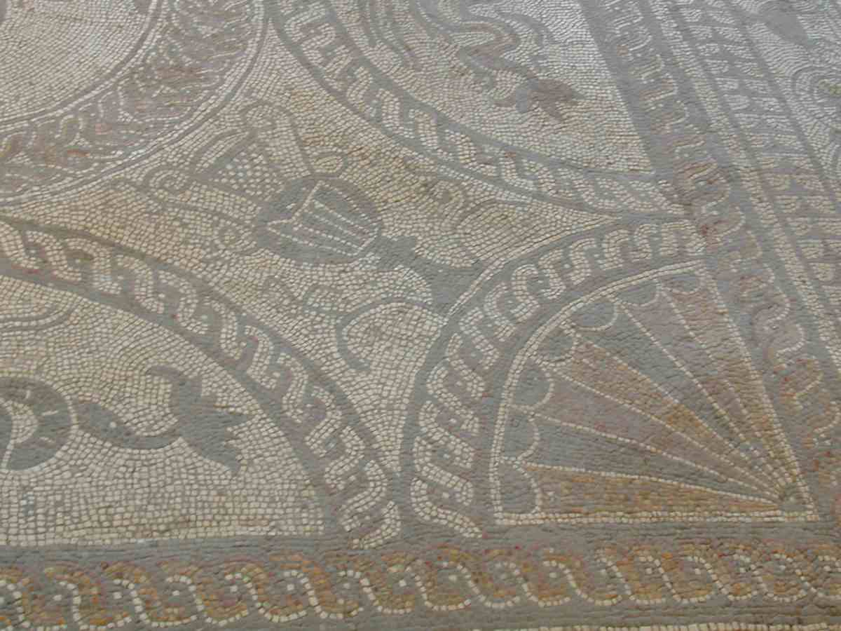 Shell pattern in the corner