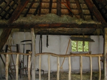 Space for the animals