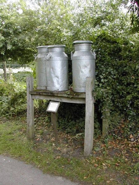 Milk for collection, Ryedale Folk Museum, 
Hutton-le-Hole, Ryedale, Yorkshire