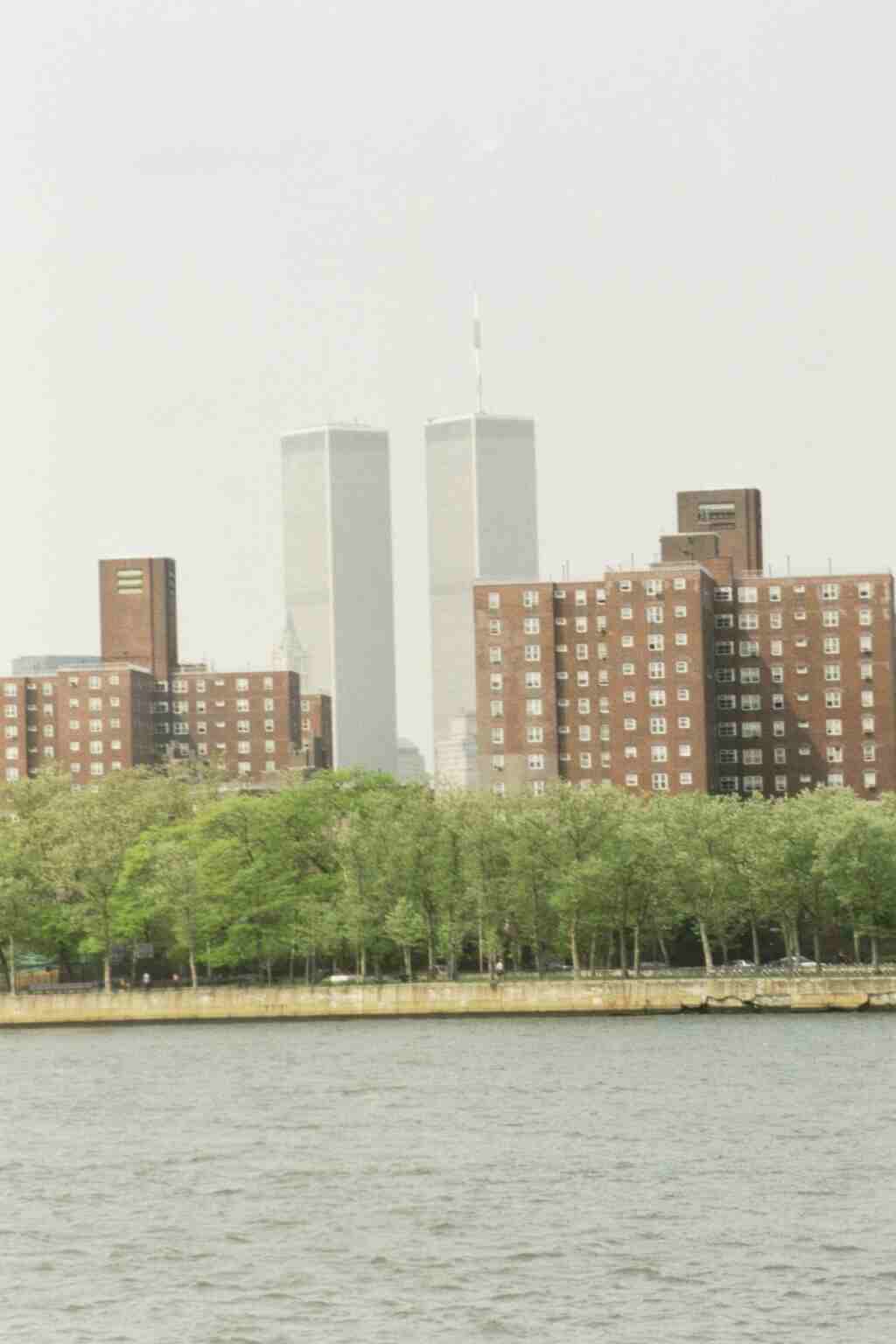 The view from the East River