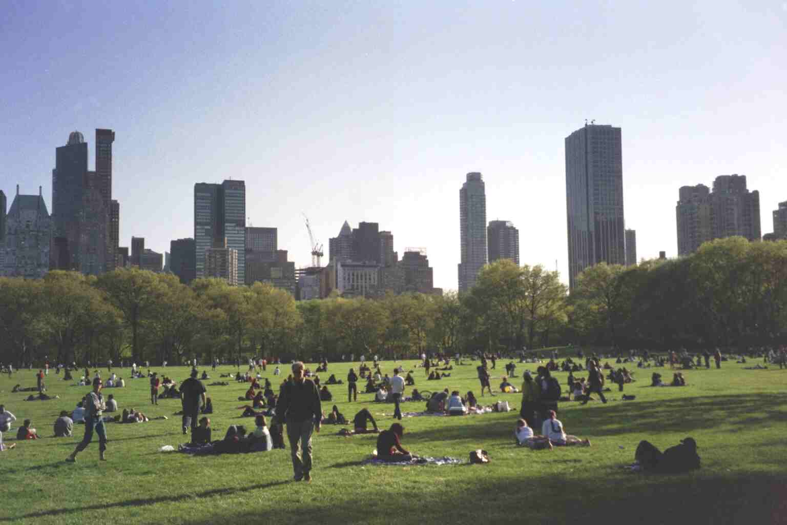 The Sheep Meadow on a summer evening