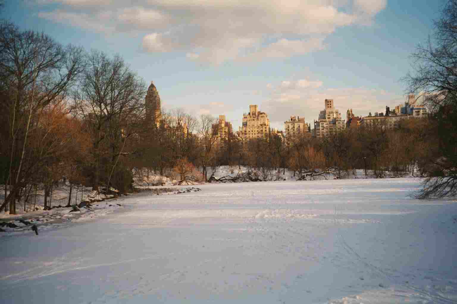 The Lake in Central Park in Winter