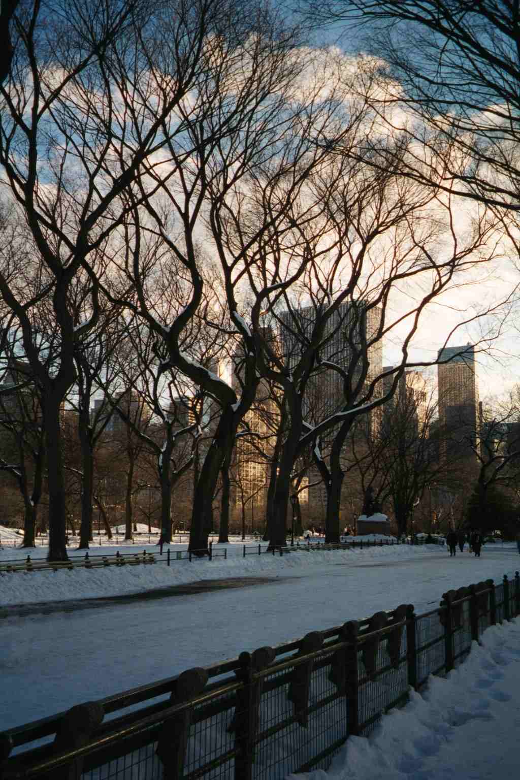 Central park walk in snow