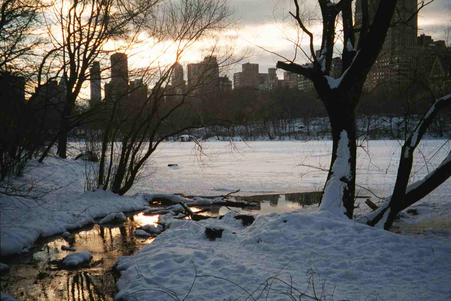 Central park looking South West